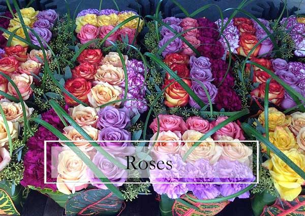 SF-Banner-12 Simi Valley Florist, Ventura County Florist. Same-Day Delivery Service