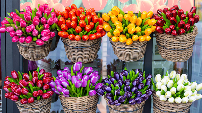 King's Flowers, Bradenton Florist, Sarasota Florist